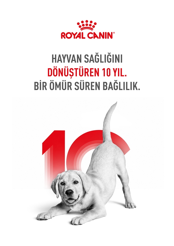  Royal Canin, Türkiye�de 10 Y�lda 6,4 Milyon Kedi Ve Köpe�in Ya�am�na Dokundu 