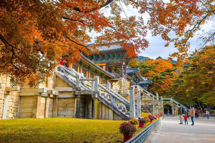 Sonbahar, Güney Kore’de Bir Başka Güzel