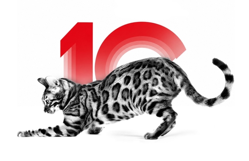  Royal Canin, Türkiye�de 10 Y�lda 6,4 Milyon Kedi Ve Köpe�in Ya�am�na Dokundu 