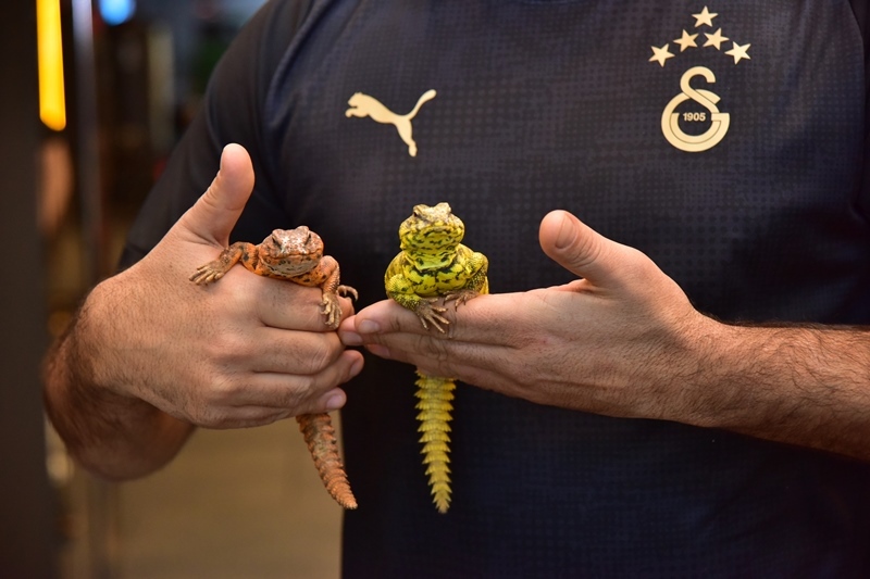 Serdar Ergün :�Hayvan Sevgisi �le Yeti�en Çocu�un Topluma Daha Faydal� Olaca��n� Dü�ünüyorum�