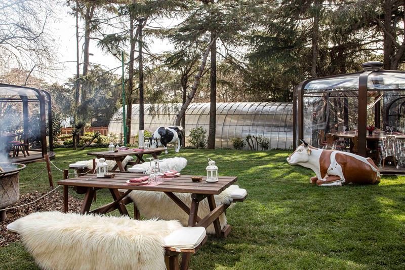 Swissôtel Chalet  Hafta Sonu Bulu�masini Kaçirmayin 