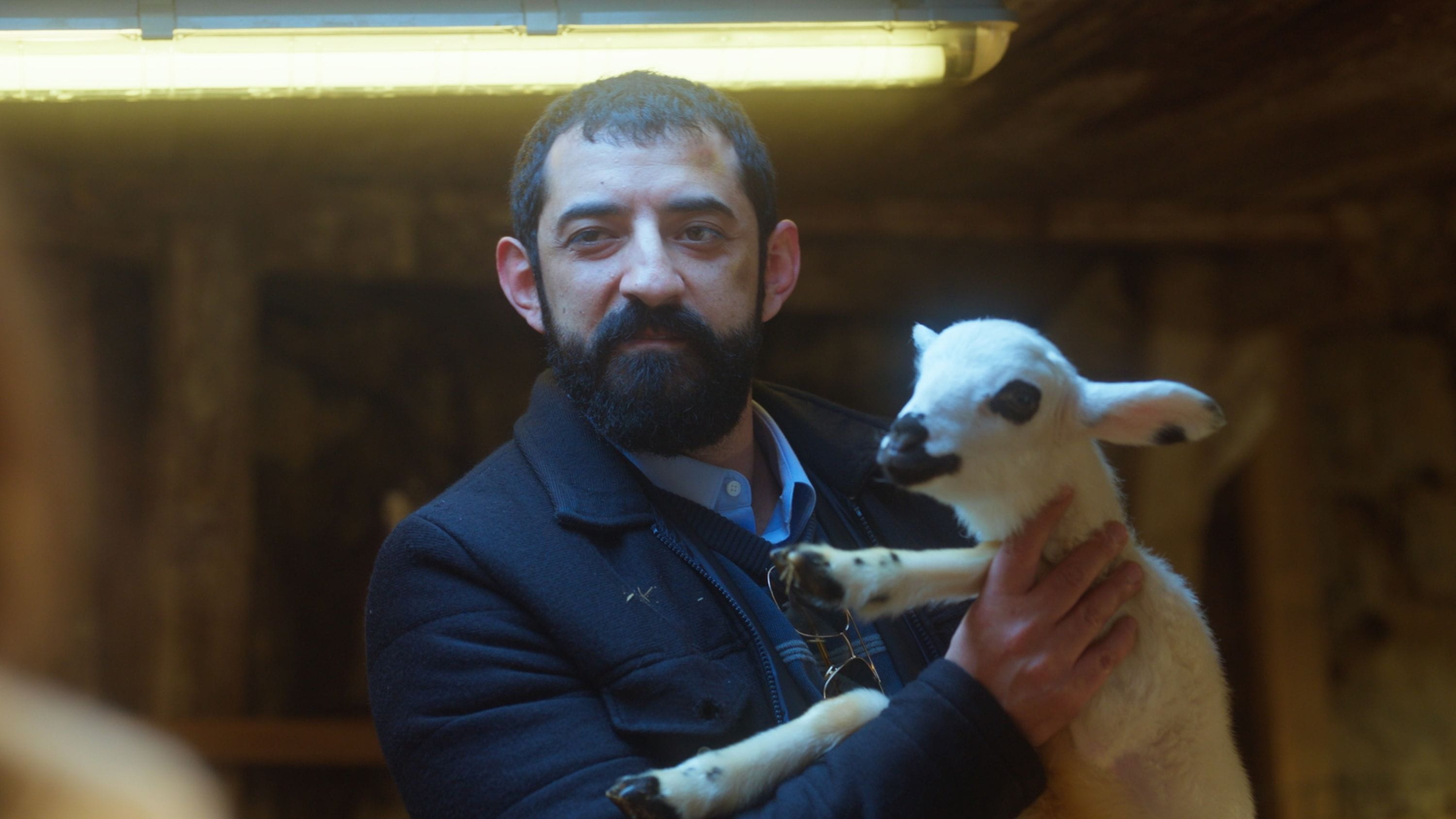 Sevdi�im Sensin Tüm Kategorilerde Zirvede!   