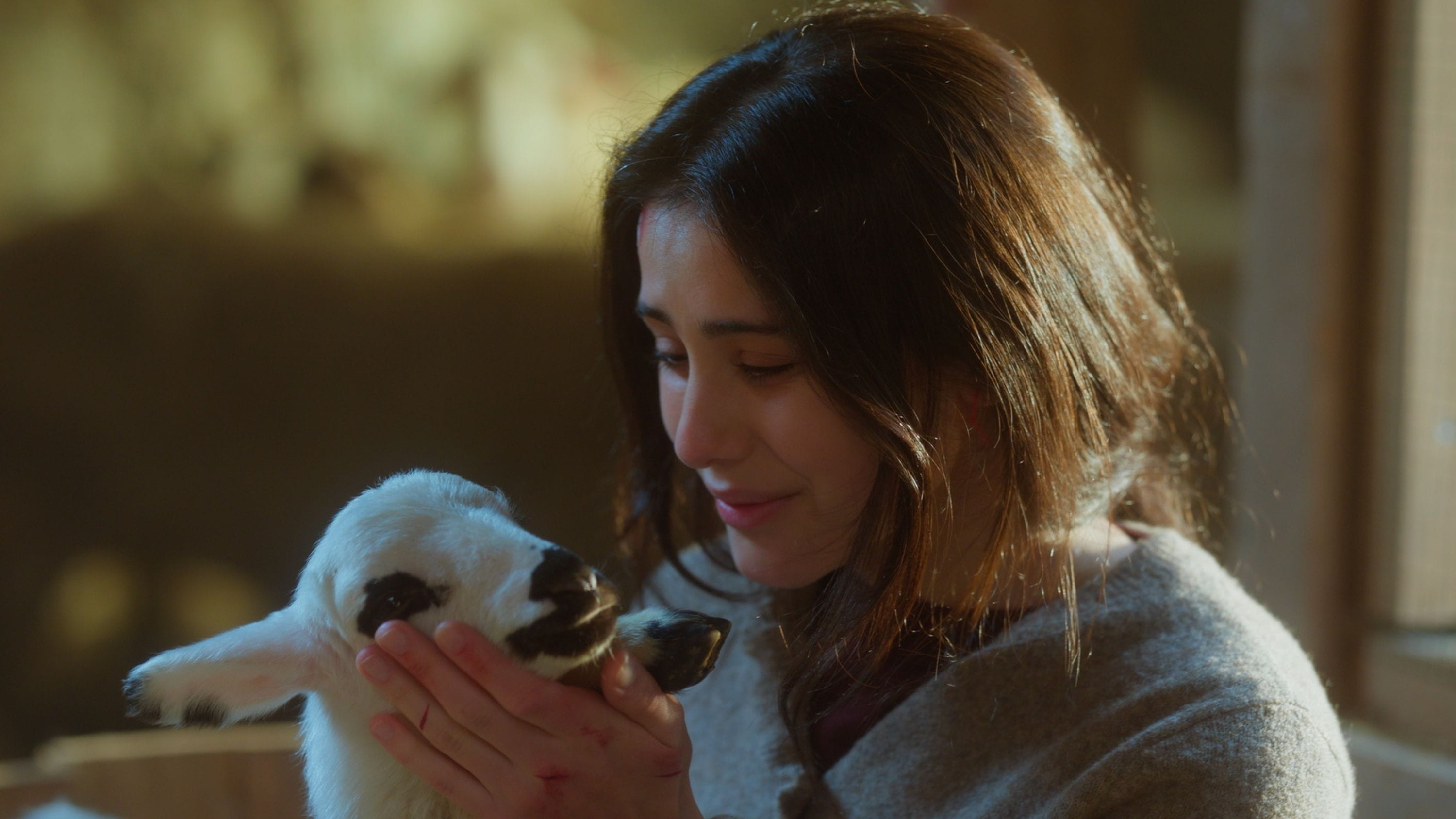 Sevdi�im Sensin Tüm Kategorilerde Zirvede!   