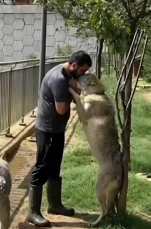 Serdar Ergün :�Hayvan Sevgisi �le Yeti�en Çocu�un Topluma Daha Faydal� Olaca��n� Dü�ünüyorum�