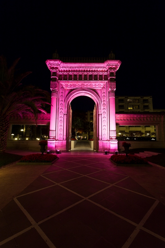 12 Y�ld�r Ç�ra�an Palace Kempinski �stanbul Ve MEMEDER Meme Kanseri Fark�ndal��� �çin El Ele